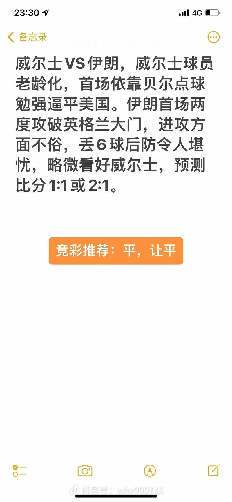 世界杯比分预测：专家与普通玩家的观点对比